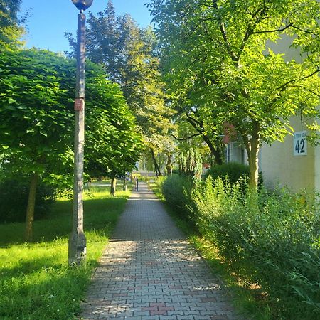 Apartament Przytulne Mieszkanie Wola Duchacka Kraków Zewnętrze zdjęcie